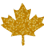 Maplea Leaf quilt template